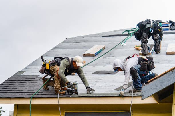 Professional Roofing technician working in Harrington, WA